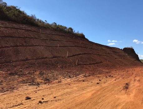 Limite com o Parque da Baleia é recuperado pela Empabra