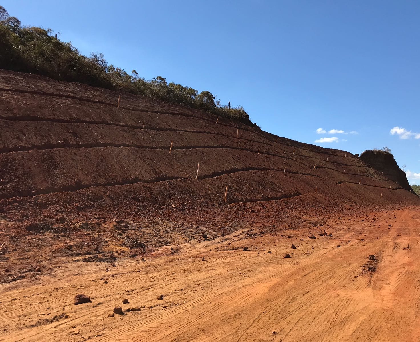 Limite com o Parque da Baleia é recuperado pela Empabra