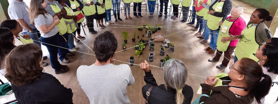 Projeto Hortas Urbanas movimenta o bairro Castanheiras