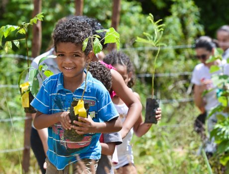 Plantio Coletivo e diversão com aprendizado