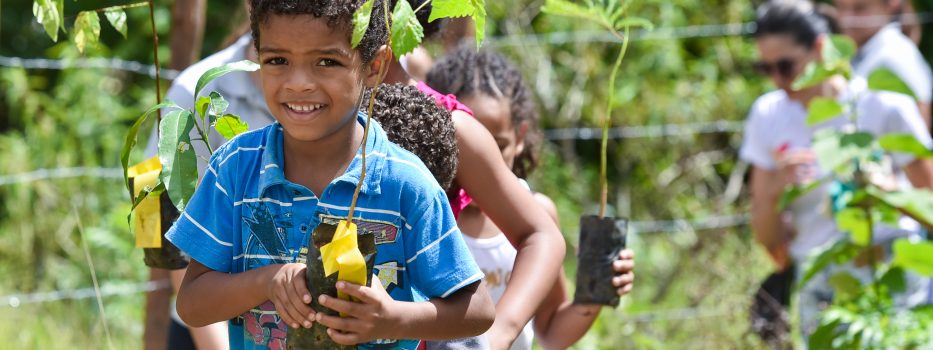 Plantio Coletivo e diversão com aprendizado